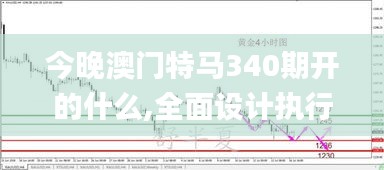 今晚澳门特马340期开的什么,全面设计执行策略_专属款19.861