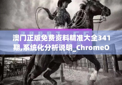 澳门正版免费资料精准大全341期,系统化分析说明_ChromeOS1.534