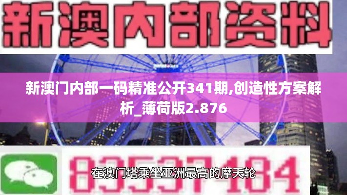 新澳门内部一码精准公开341期,创造性方案解析_薄荷版2.876