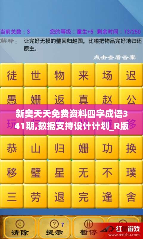 新奥天天免费资料四字成语341期,数据支持设计计划_R版4.864