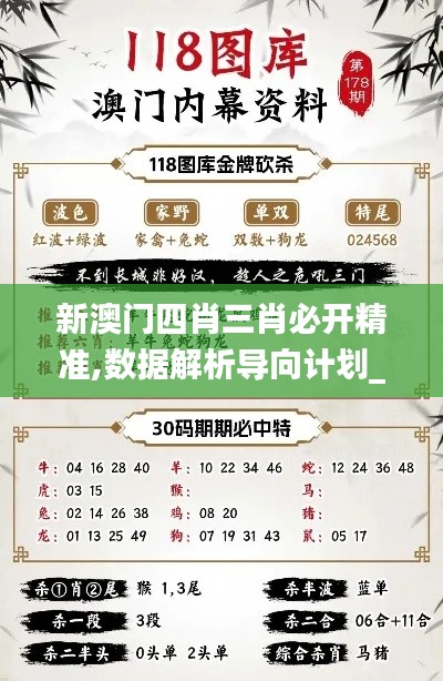 新澳门四肖三肖必开精准,数据解析导向计划_精装版4.423