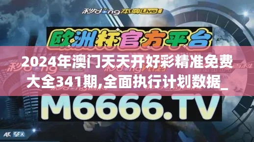 2024年澳门天天开好彩精准免费大全341期,全面执行计划数据_HD1.411