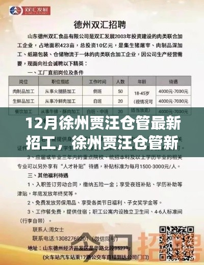 徐州贾汪仓管十二月招工热潮揭秘，聚焦最新动态与背后故事