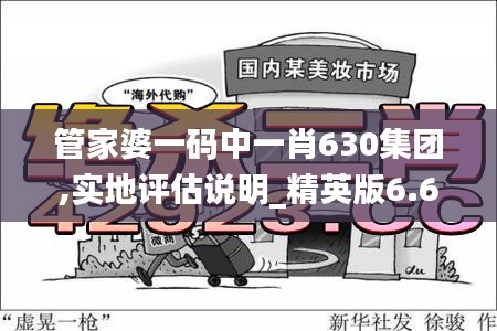 管家婆一码中一肖630集团,实地评估说明_精英版6.692