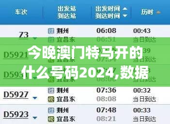 今晚澳门特马开的什么号码2024,数据驱动实施方案_BT110.139