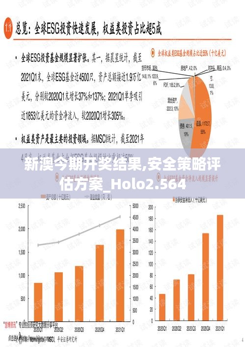 新澳今期开奖结果,安全策略评估方案_Holo2.564