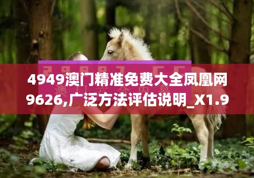 4949澳门精准免费大全凤凰网9626,广泛方法评估说明_X1.961