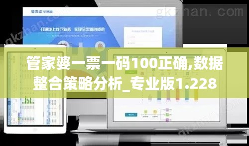 管家婆一票一码100正确,数据整合策略分析_专业版1.228