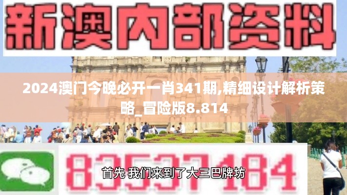 2024澳门今晚必开一肖341期,精细设计解析策略_冒险版8.814