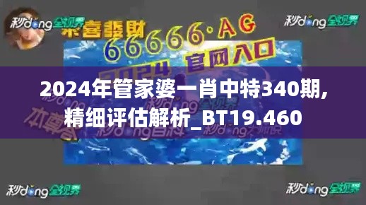 2024年管家婆一肖中特340期,精细评估解析_BT19.460