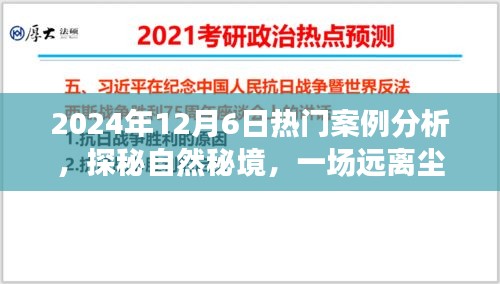 揭秘自然秘境，一场心灵之旅与热门案例解析的交融——2024年12月6日深度案例研究