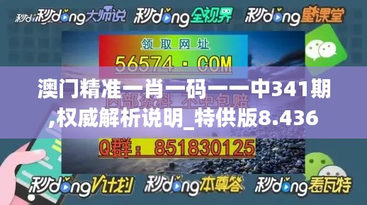 澳门精准一肖一码一一中341期,权威解析说明_特供版8.436