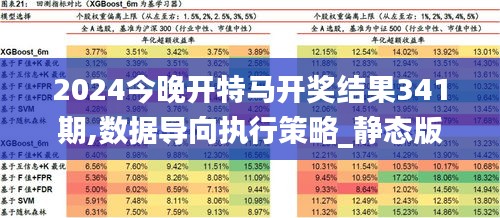 2024今晚开特马开奖结果341期,数据导向执行策略_静态版9.241