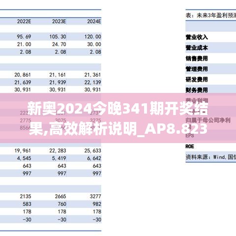 新奥2024今晚341期开奖结果,高效解析说明_AP8.823