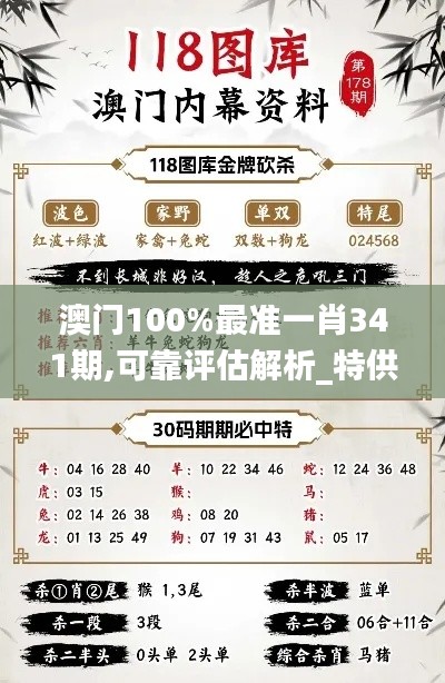 澳门100%最准一肖341期,可靠评估解析_特供款1.848