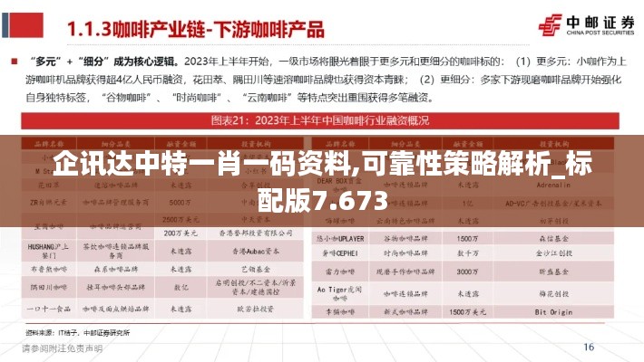 企讯达中特一肖一码资料,可靠性策略解析_标配版7.673