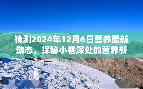 探秘小巷深处的营养新风尚，预测2024年12月6日营养动态展望