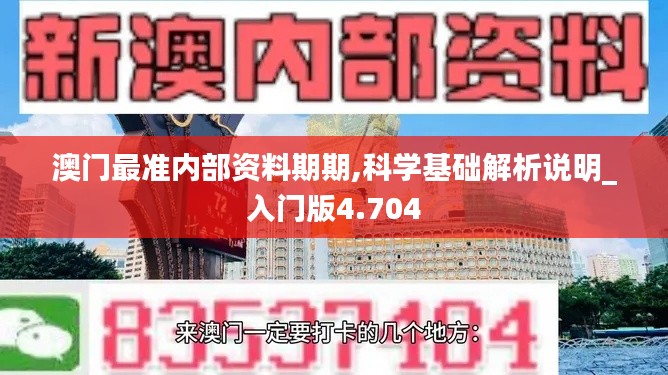 澳门最准内部资料期期,科学基础解析说明_入门版4.704