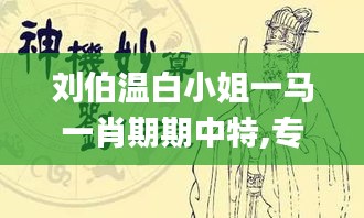 刘伯温白小姐一马一肖期期中特,专家评估说明_手游版14.745