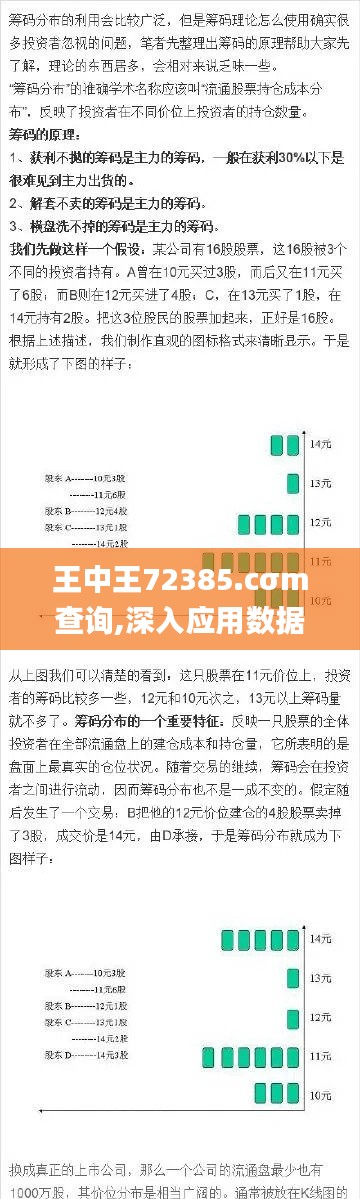 王中王72385.cσm查询,深入应用数据执行_iPad5.235