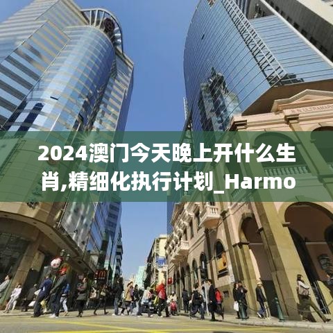 2024澳门今天晚上开什么生肖,精细化执行计划_Harmony10.227