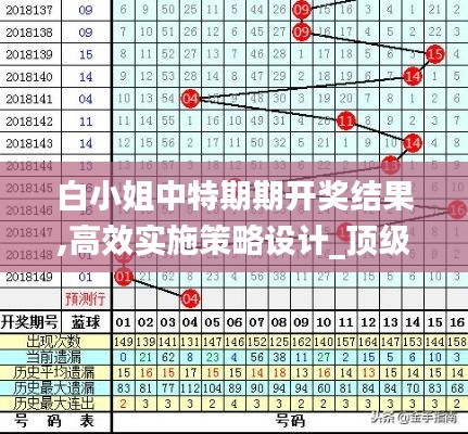 白小姐中特期期开奖结果,高效实施策略设计_顶级版2.528