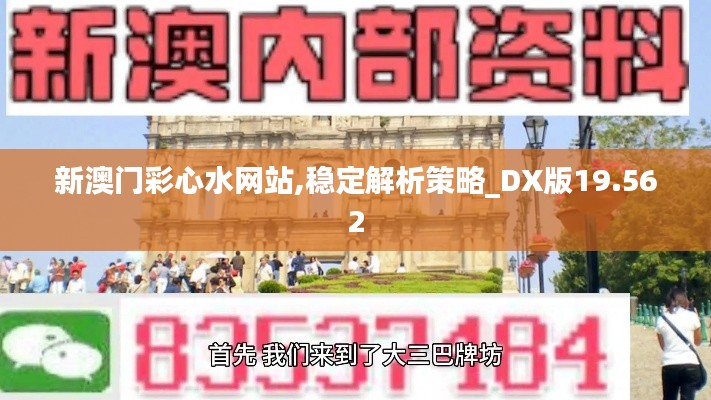 新澳门彩心水网站,稳定解析策略_DX版19.562