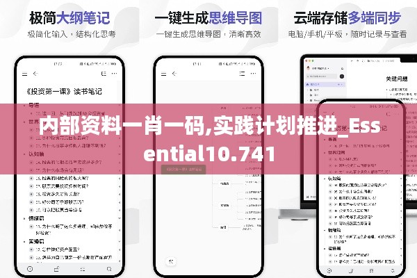 内部资料一肖一码,实践计划推进_Essential10.741