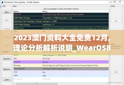 2023澳门资料大全免费12月,理论分析解析说明_WearOS8.278