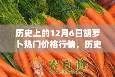 历史上的胡萝卜价格行情概览，聚焦12月6日的胡萝卜热门价格行情