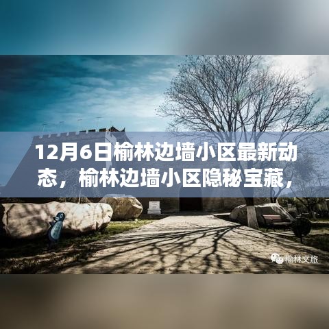 榆林边墙小区隐秘宝藏揭秘，最新动态与小巷特色小店新发现