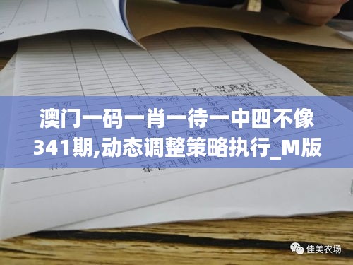 澳门一码一肖一待一中四不像341期,动态调整策略执行_M版4.330