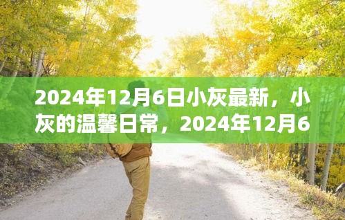 小灰的温馨日常，2024年12月6日的快乐时光记录