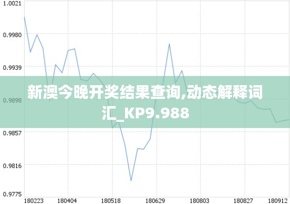 新澳今晚开奖结果查询,动态解释词汇_KP9.988