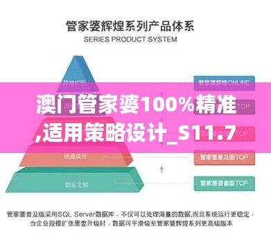 澳门管家婆100%精准,适用策略设计_S11.795