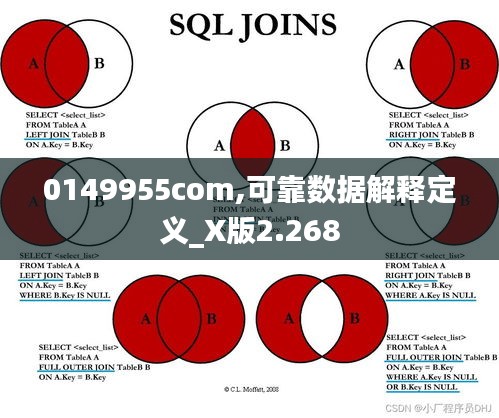 0149955com,可靠数据解释定义_X版2.268