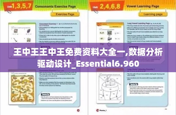 王中王王中王免费资料大全一,数据分析驱动设计_Essential6.960