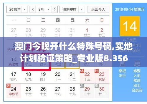 澳门今晚开什么特殊号码,实地计划验证策略_专业版8.356