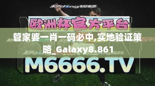 管家婆一肖一码必中,实地验证策略_Galaxy8.861