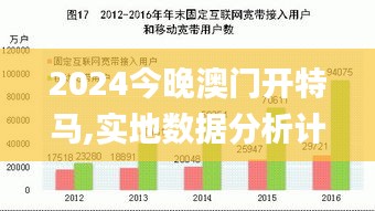 2024今晚澳门开特马,实地数据分析计划_基础版3.891