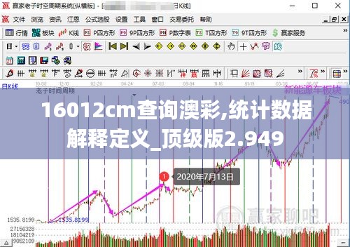 16012cm查询澳彩,统计数据解释定义_顶级版2.949