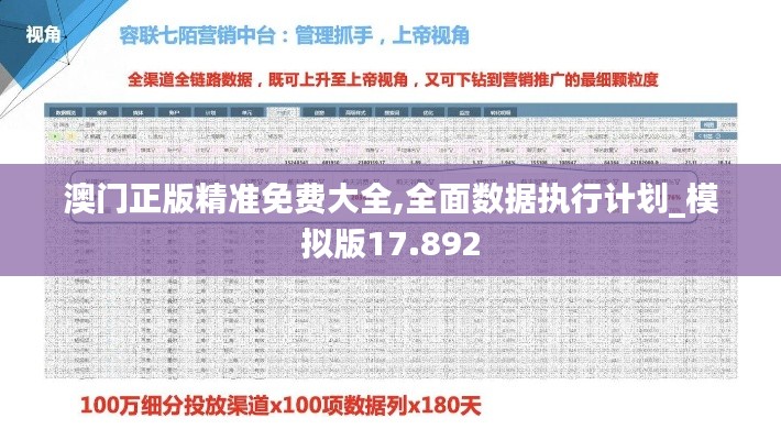 澳门正版精准免费大全,全面数据执行计划_模拟版17.892