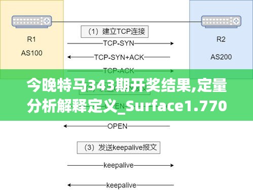 今晚特马343期开奖结果,定量分析解释定义_Surface1.770