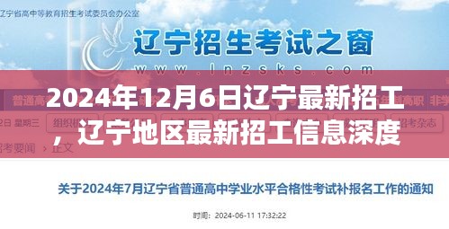 辽宁最新招工信息深度解析，市场概览与体验报告（2024年）