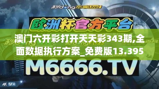 澳门六开彩打开天天彩343期,全面数据执行方案_免费版13.395