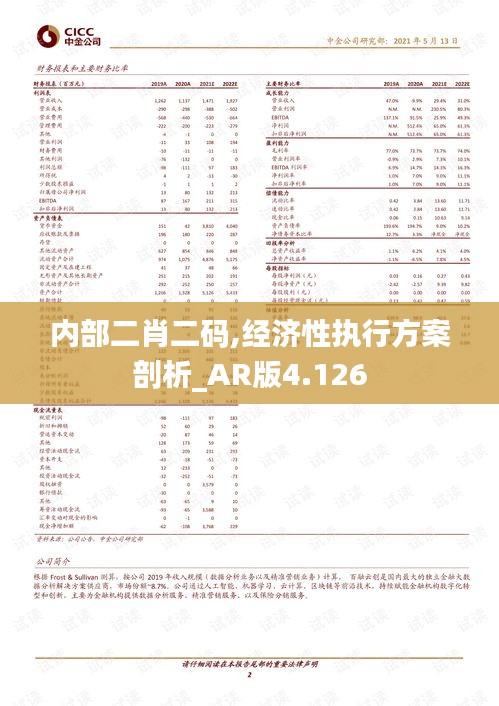 内部二肖二码,经济性执行方案剖析_AR版4.126