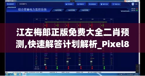 江左梅郎正版免费大全二肖预测,快速解答计划解析_Pixel8.610