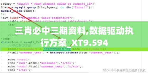 三肖必中三期资料,数据驱动执行方案_XT9.594