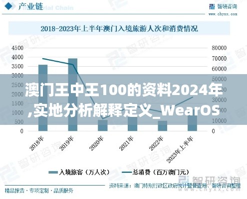 澳门王中王100的资料2024年,实地分析解释定义_WearOS2.125