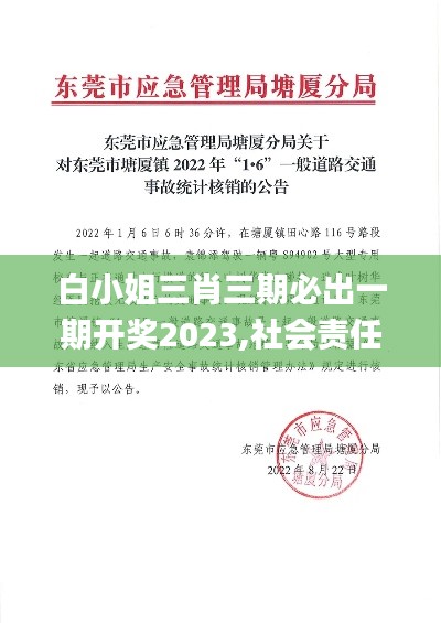 白小姐三肖三期必出一期开奖2023,社会责任方案执行_冒险版1.616